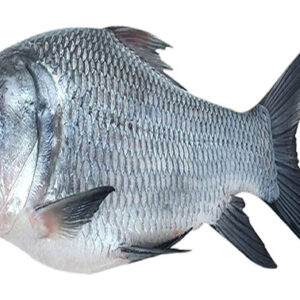 Katla Maach (1kg)