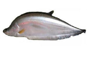 Chital Maach (1 kg)