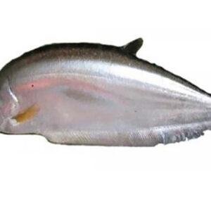 Chital Maach (1 kg)
