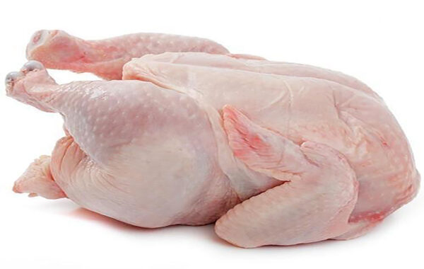 Broiler (Hard Chicken)