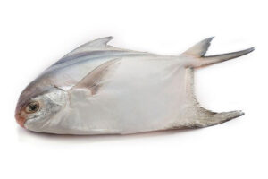 Rupchanda (1-1.2 Kg)
