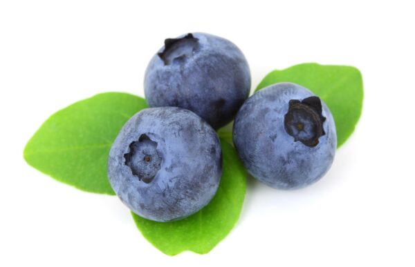 Blueberries