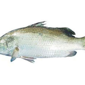 Koral Maach (1kg)