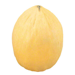 Casaba Melon (Per Pices)