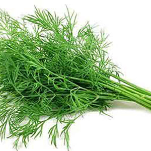Dill