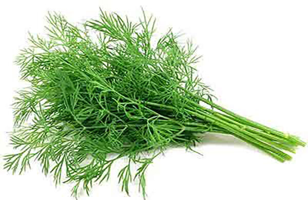 Dill