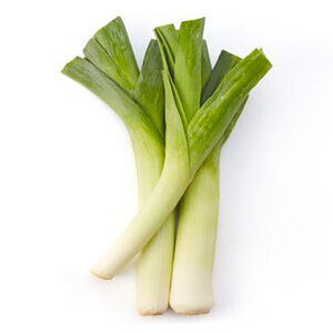 Onion Flower Stalk