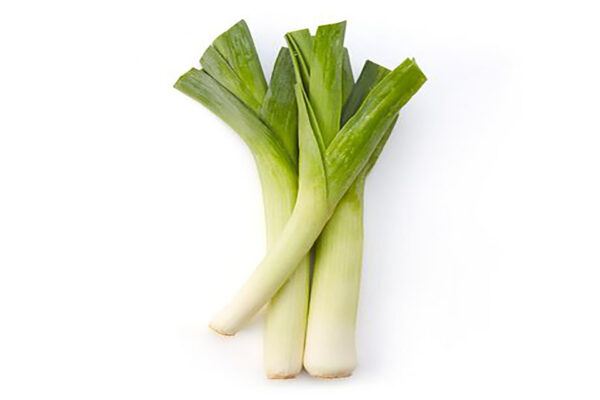 Onion Flower Stalk