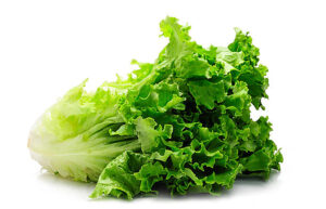 Lettuce