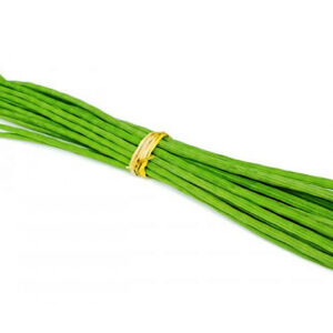 Drumstick tree