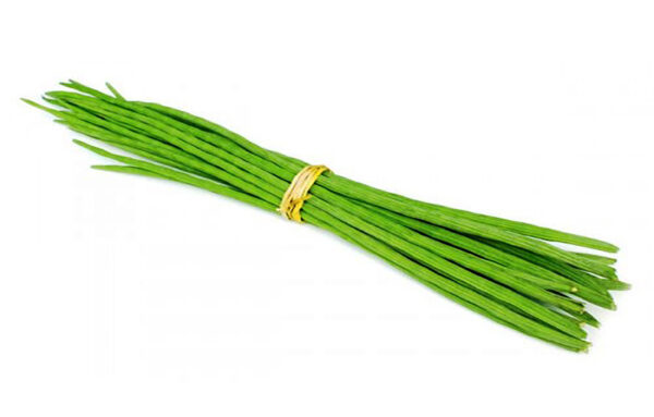 Drumstick tree