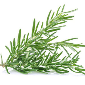 Rosemary