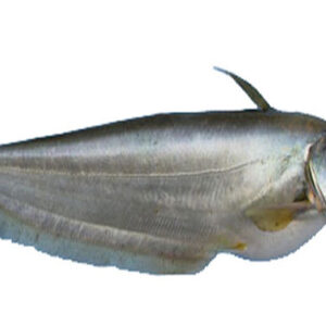Boal Maach (1kg)