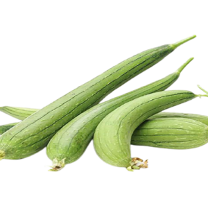 Sponge gourd
