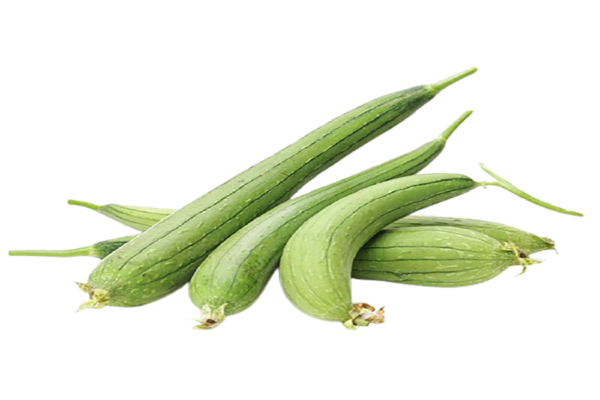 Sponge gourd