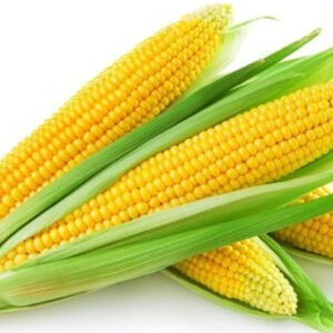 Sweet corn