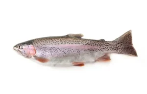 Trout Fish (1kg)