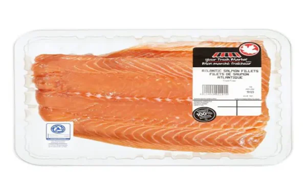 Salmon Fish 1Pack